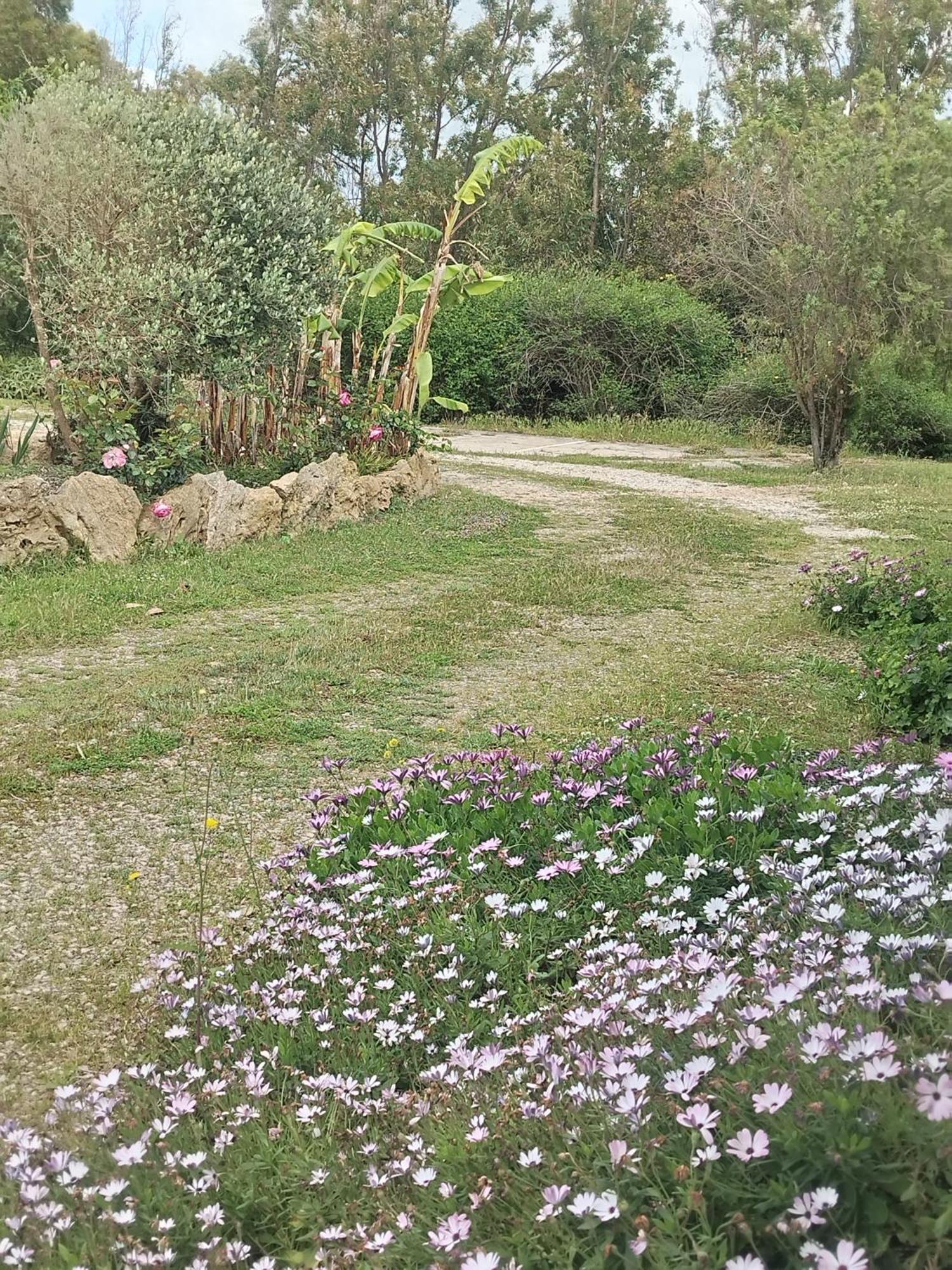 Camera Serraona Alghero Bagian luar foto